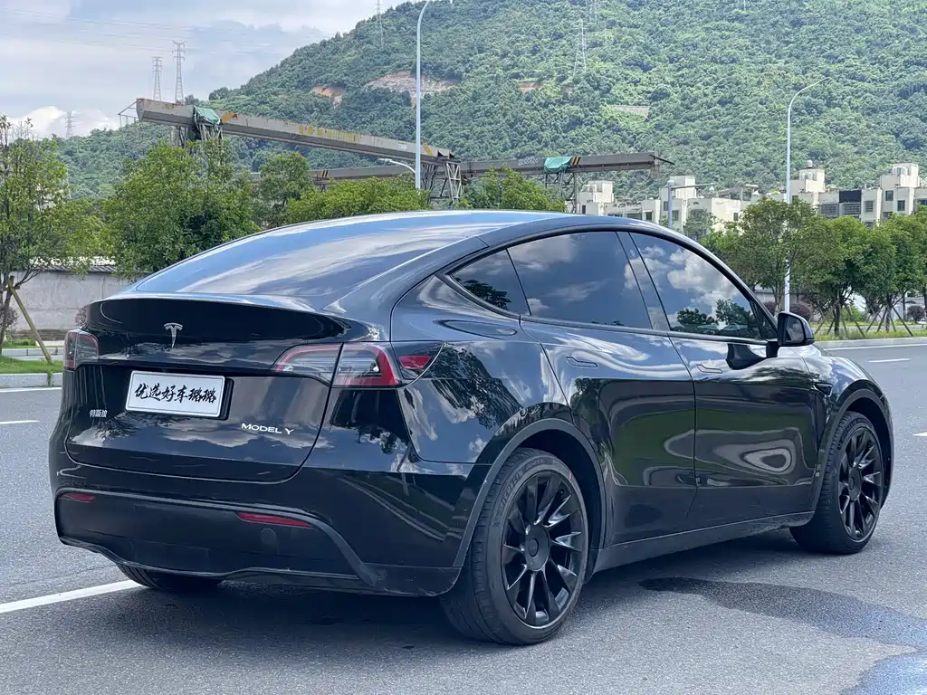 Tesla Model Y — фотографии объявления, Фото 12