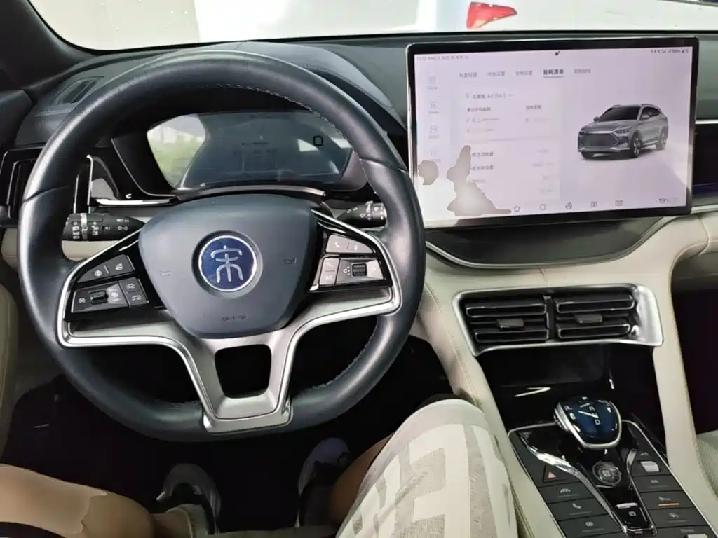 BYD PLUS New Energy — миниатюра 10