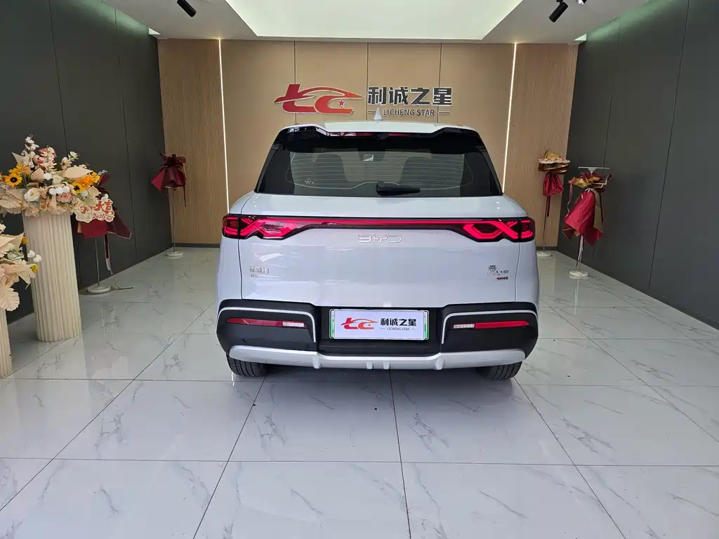 BYD Yuan Up UP 2025 Smart Drive 401KM Lead