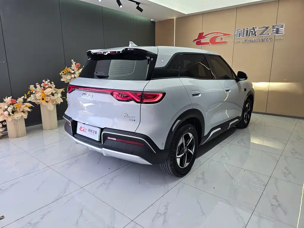 BYD Yuan Up UP 2025 Smart Drive 401KM Lead