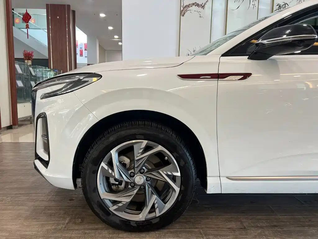 Hongqi Hongqi HS3 PHEV — миниатюра 4