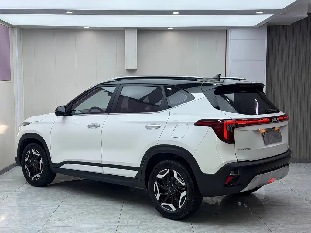 Kia Seltos — миниатюра 6
