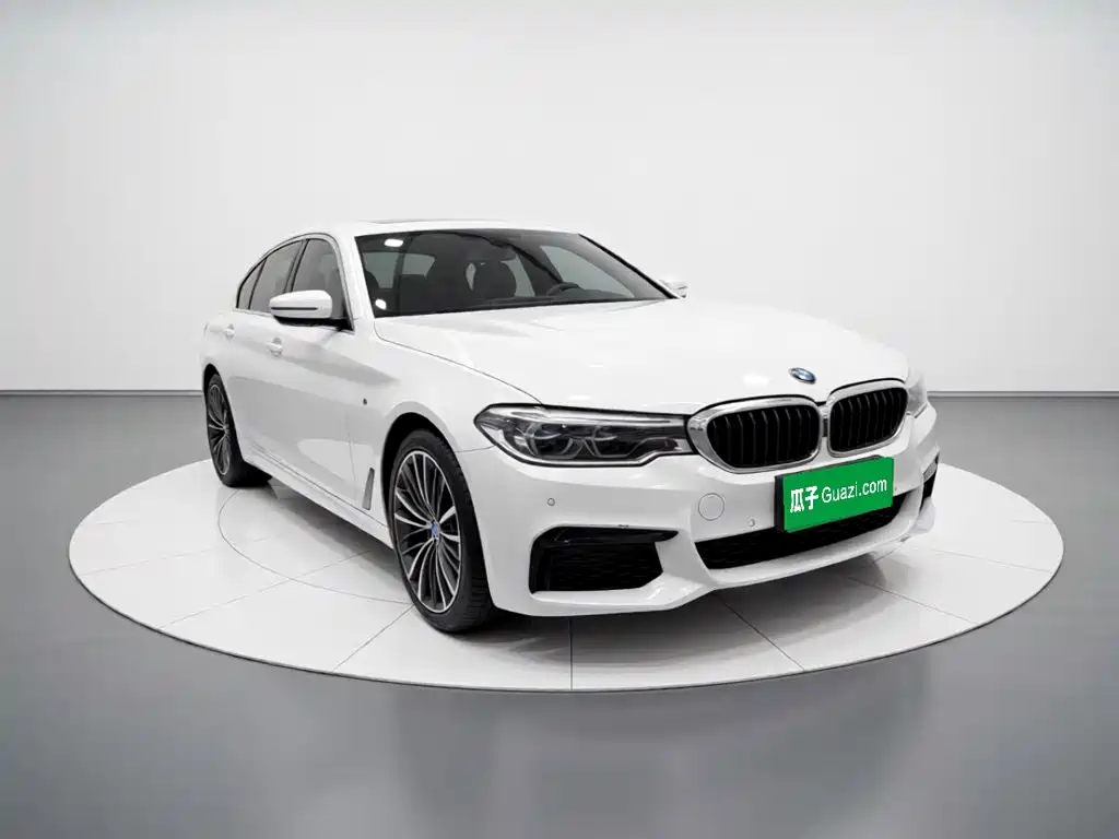 BMW 5 Series — миниатюра 3