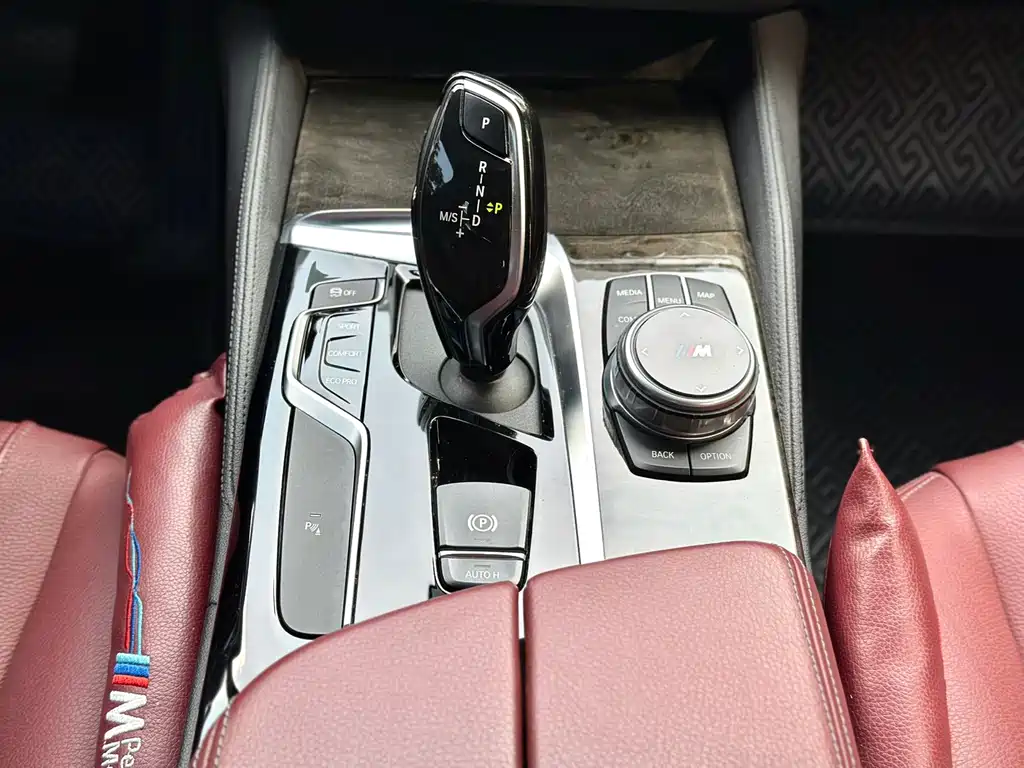 BMW 5 Series 5 2020 530Li Lead M Sport