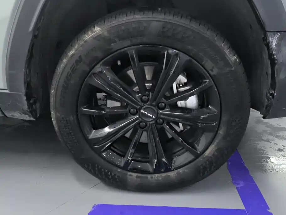 Haval Menglong New Energy — миниатюра 6