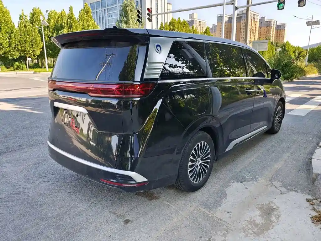 Denza Denza D9 — миниатюра 3