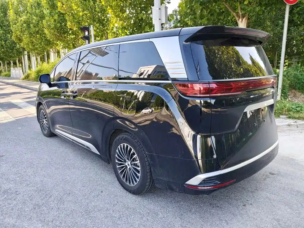 Denza Denza D9 — миниатюра 4