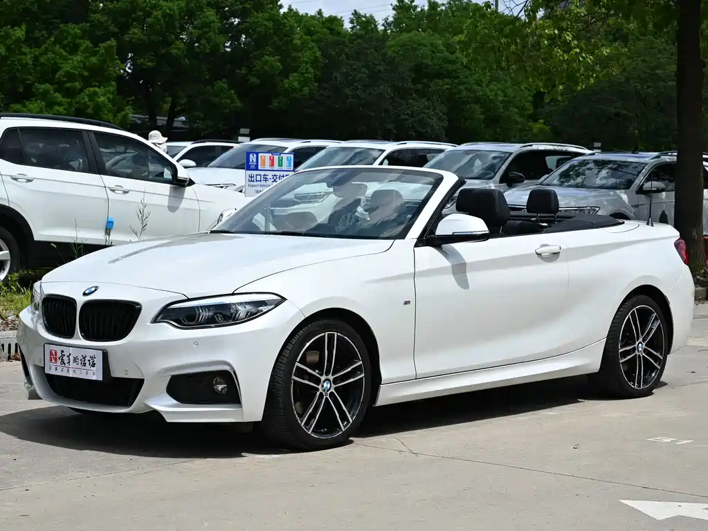 BMW 2 Series (Import)