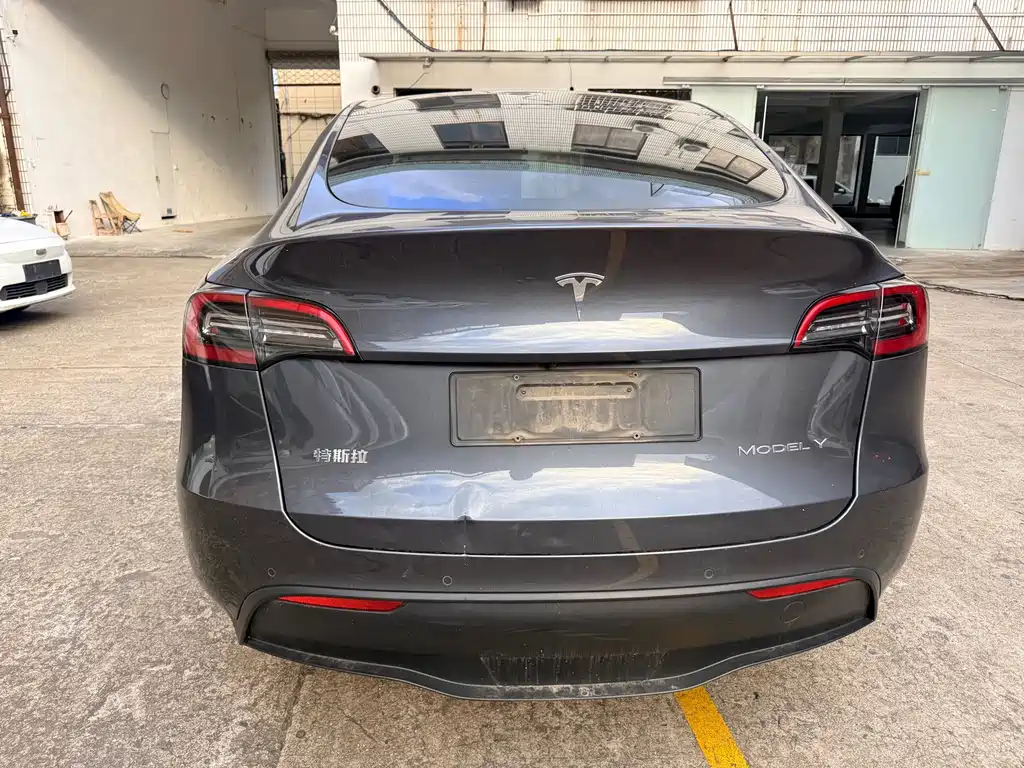 Tesla Model Y — миниатюра 9