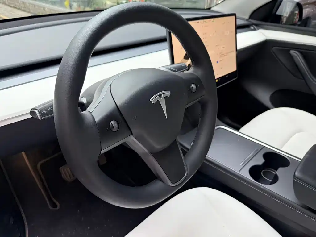 Tesla Model Y — миниатюра 2