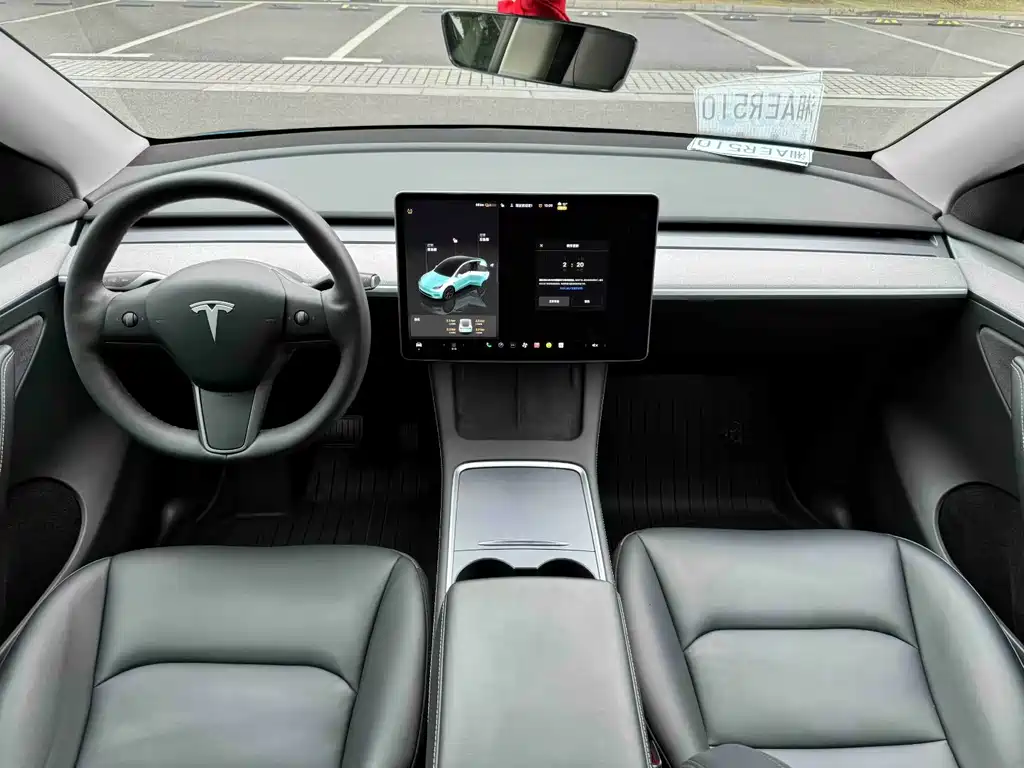 Tesla Model Y — миниатюра 5