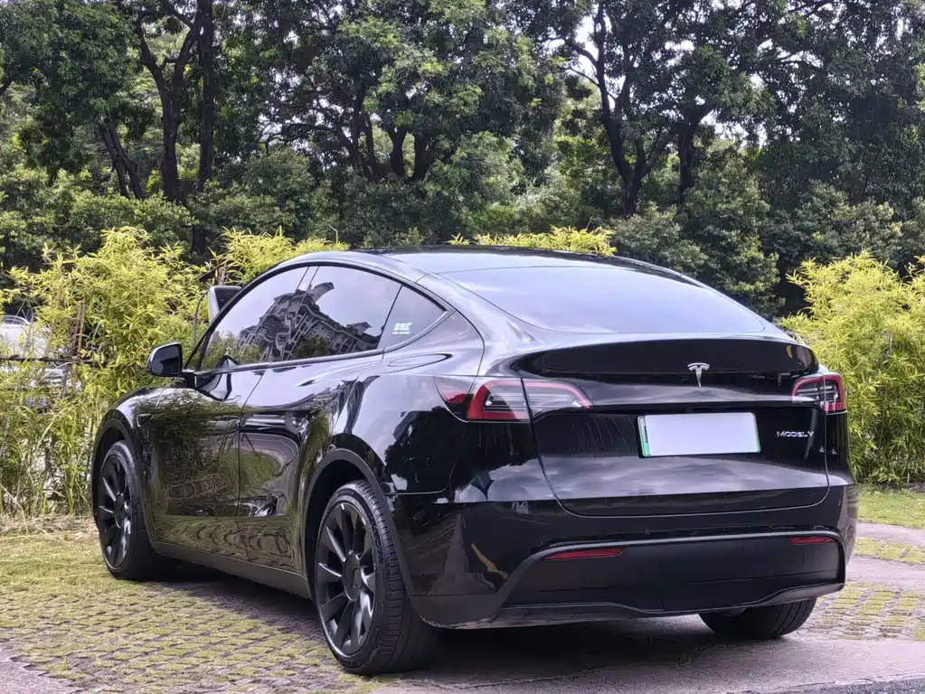 Tesla Model Y — миниатюра 11