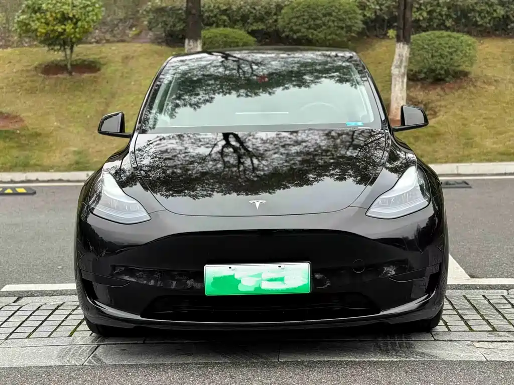 Tesla Model Y — миниатюра 2