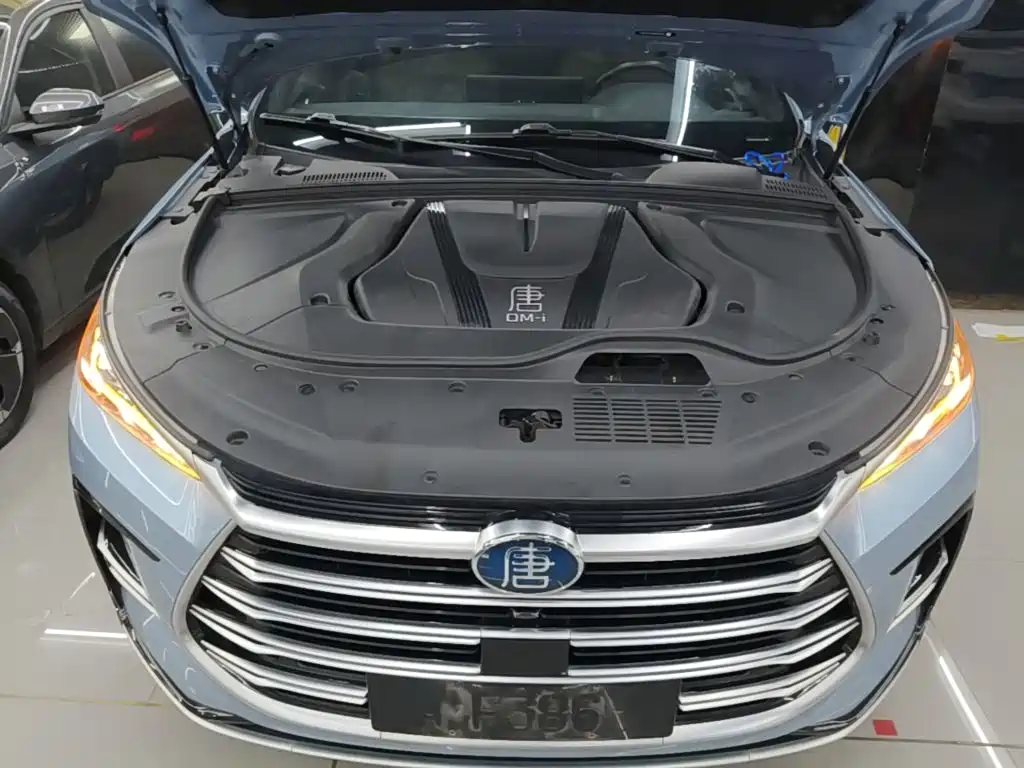 BYD Tang New Energy — миниатюра 20