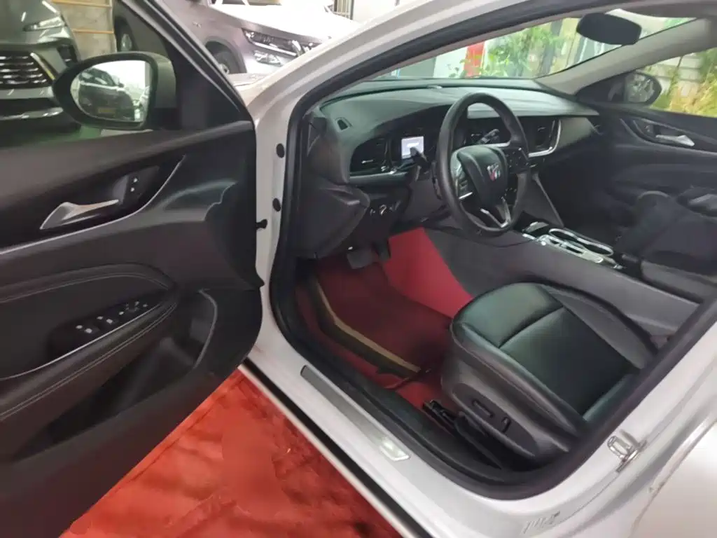 Buick Regal — миниатюра 16