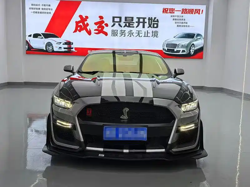 Ford Mustang — миниатюра 2