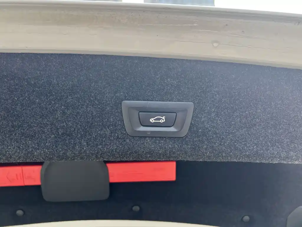BMW 3 Series 3 2021 320Li M Sport