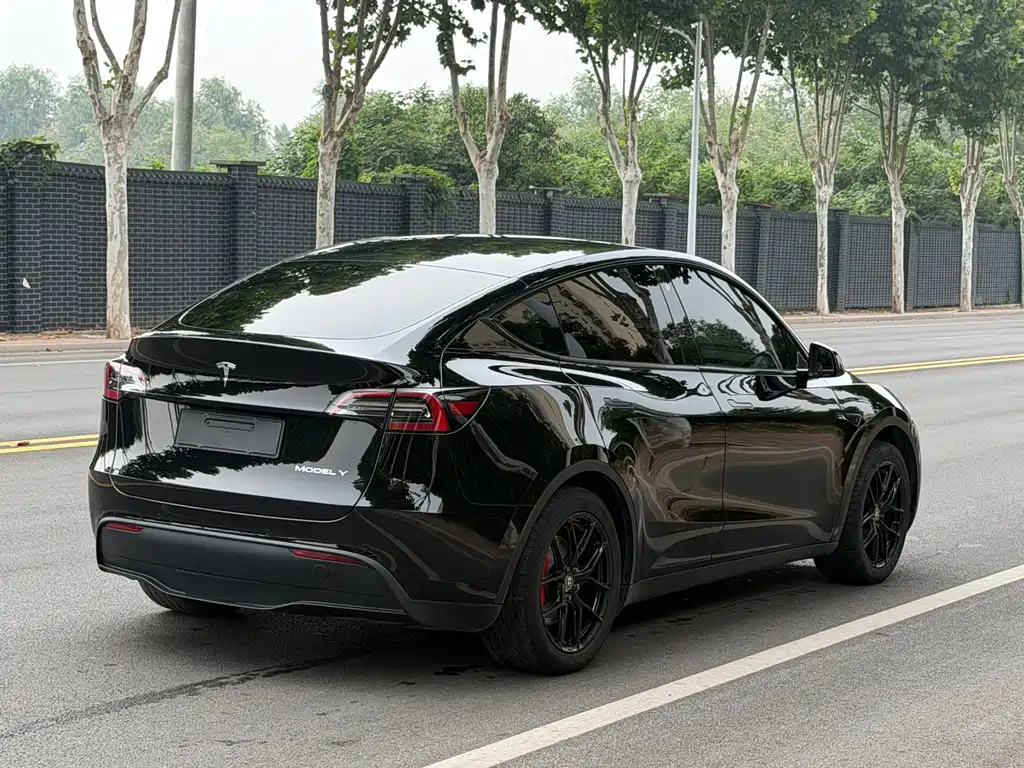 Tesla Model Y — миниатюра 6