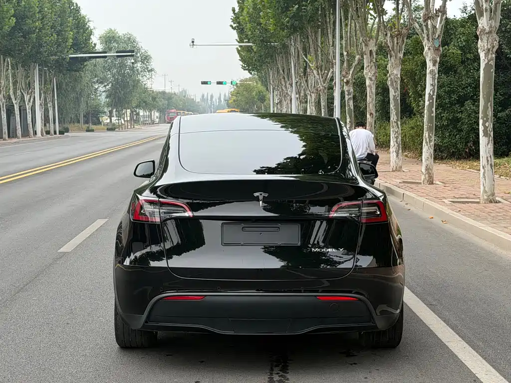 Tesla Model Y — миниатюра 4