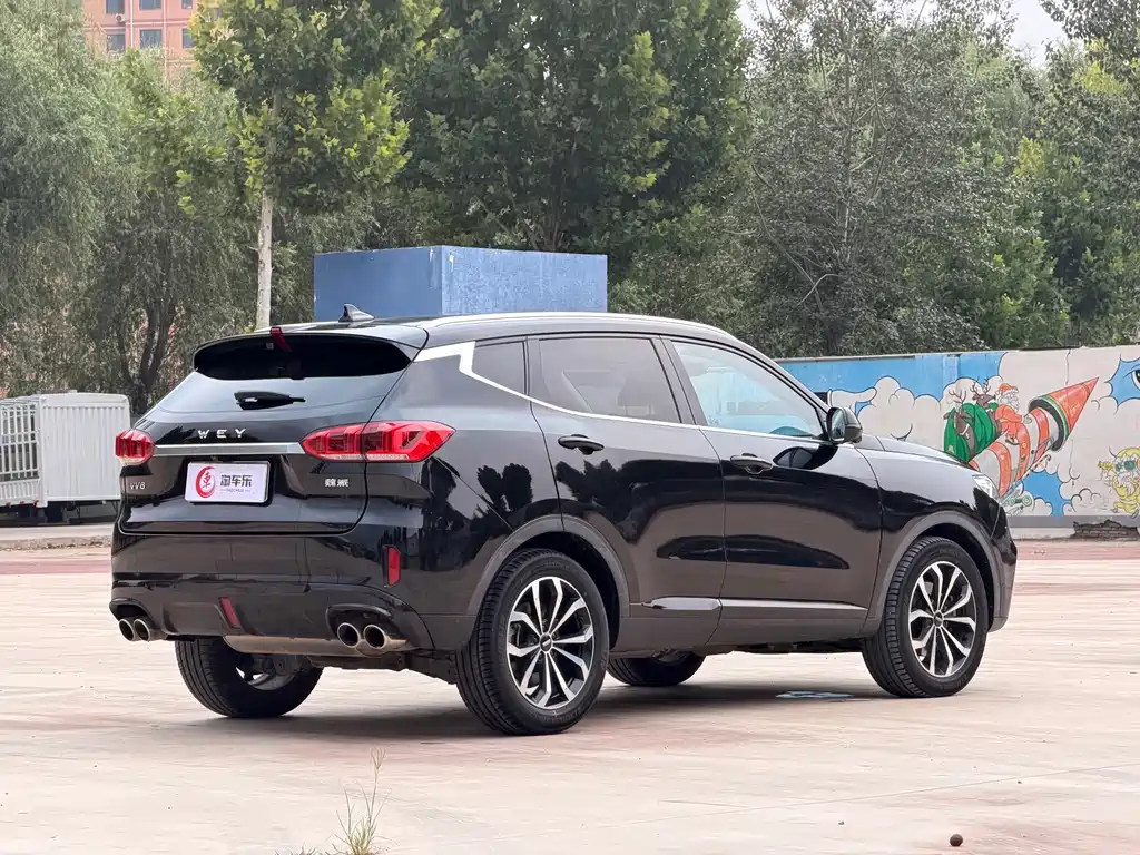 Wey Wey VV6 — миниатюра 24