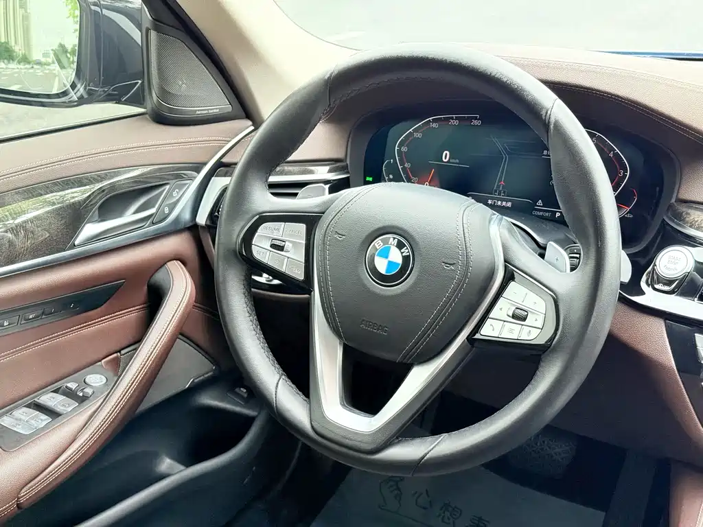 BMW 5 Series 5 2021 530Li Premium Luxury