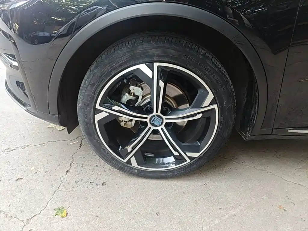 BYD Tang New Energy — миниатюра 23