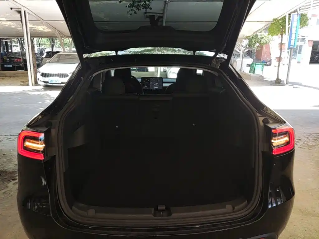 Tesla Model Y — миниатюра 19