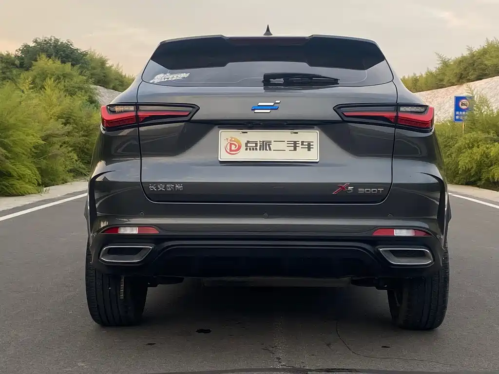 Oshan Oushang X5 — миниатюра 5