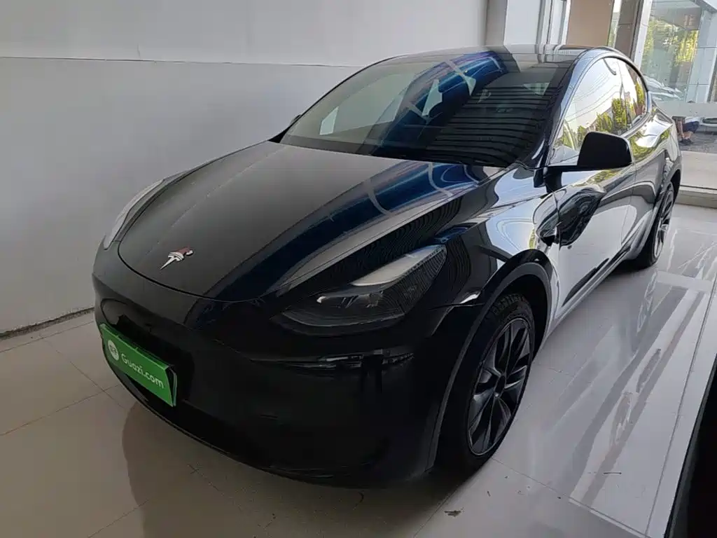 Tesla Model Y — миниатюра 2
