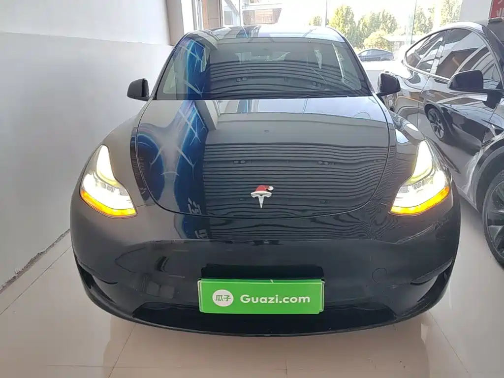 Tesla Model Y — миниатюра 3