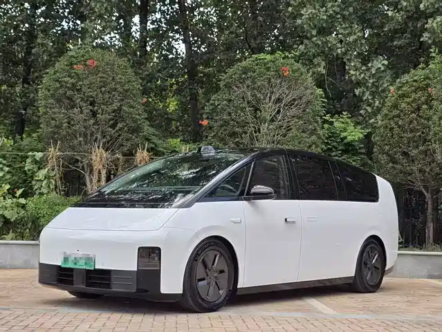 2024 Li Xiang Mega