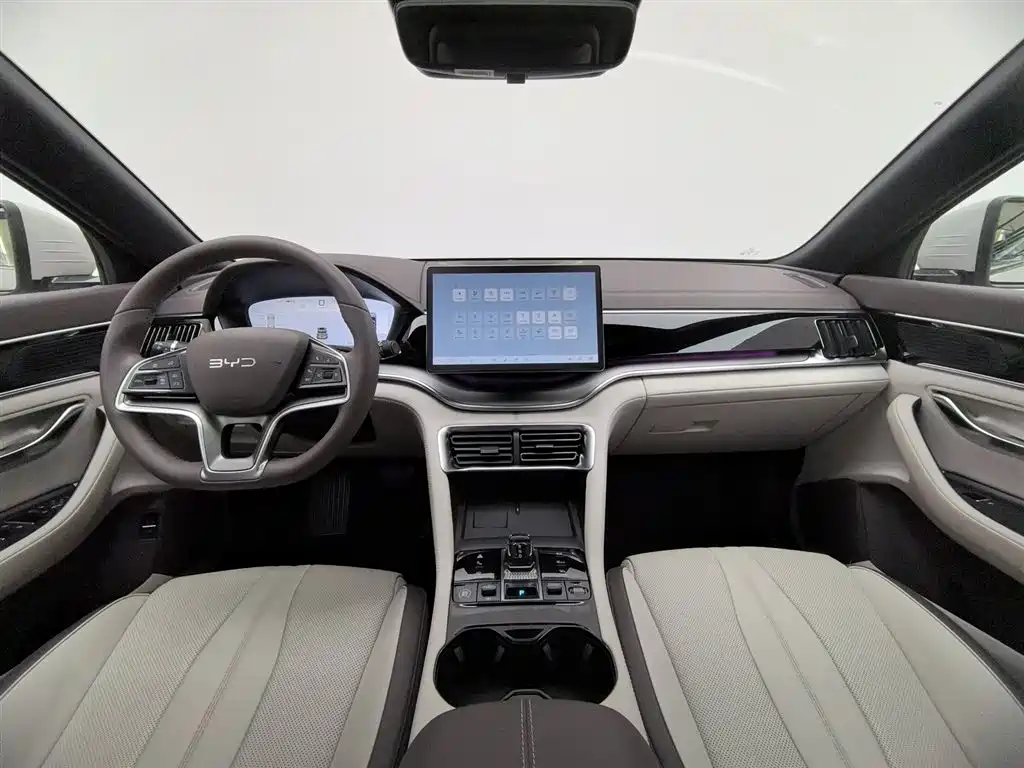 BYD SONGJIANG NEW ENERGY