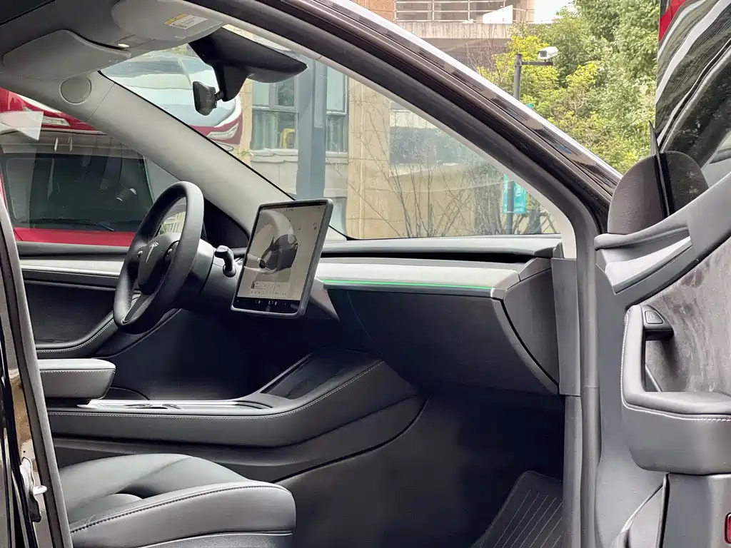 Tesla Model Y — миниатюра 15