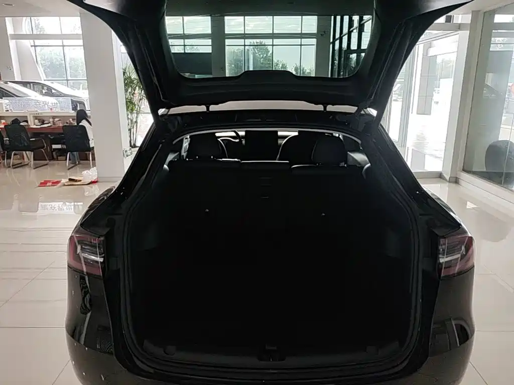 Tesla Model Y — миниатюра 19