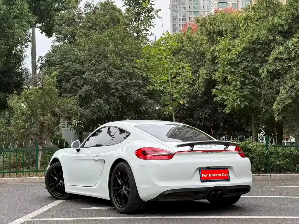 Porsche Cayman — миниатюра 6