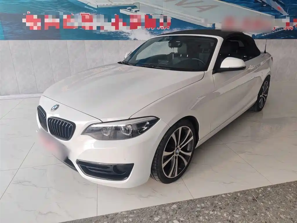 BMW 2 Series (Import) 2019