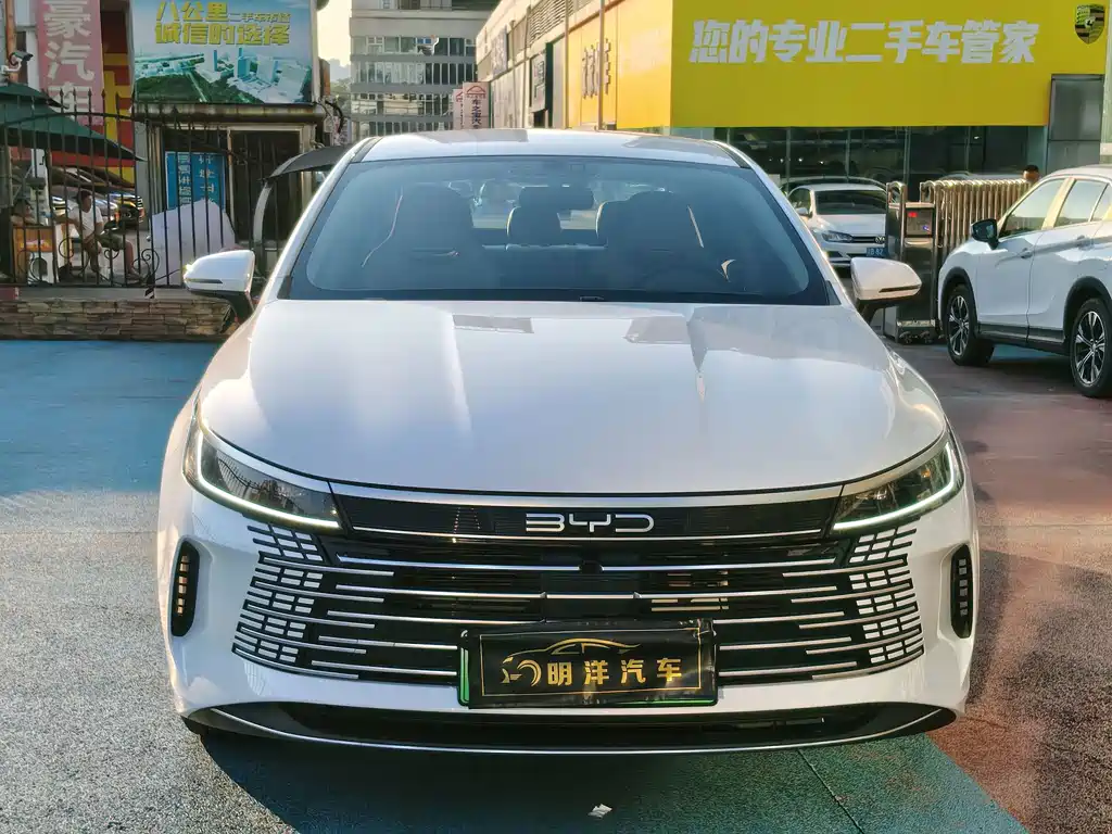 BYD Destroyer 05 — миниатюра 3