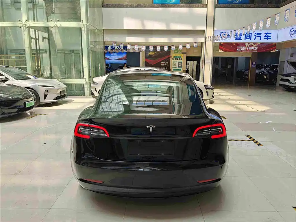 Tesla Model 3 — миниатюра 4