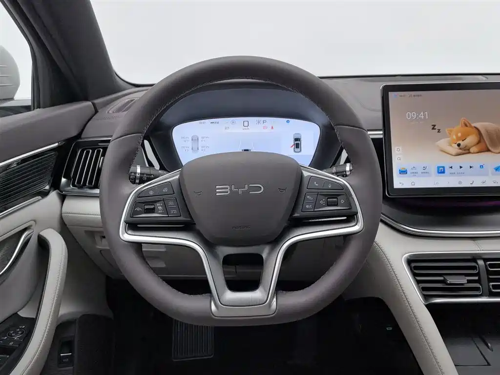 BYD SONGJIANG NEW ENERGY