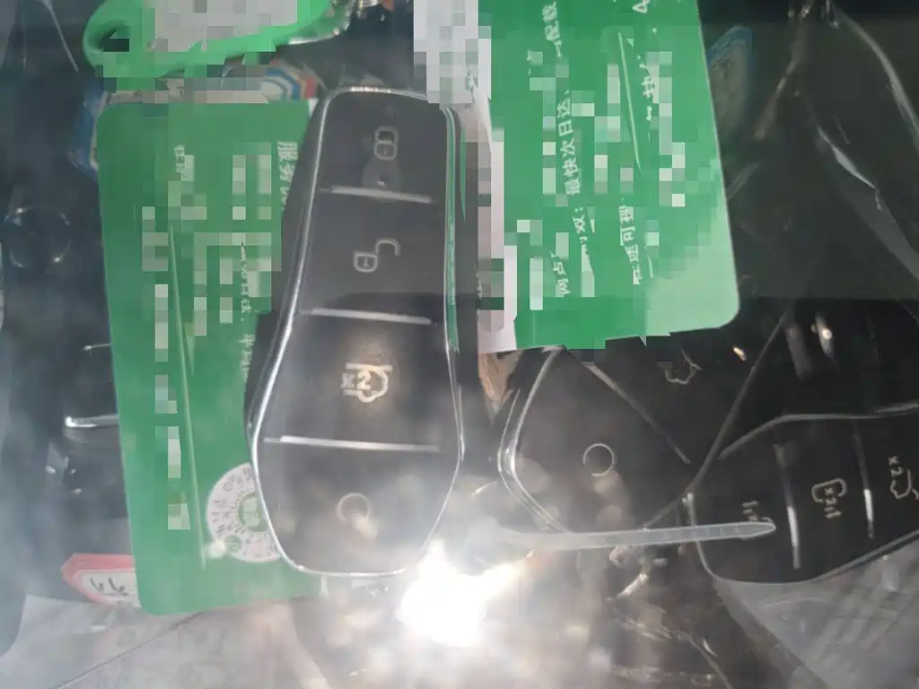 BYD 05 EV 2025 520KM Flagship