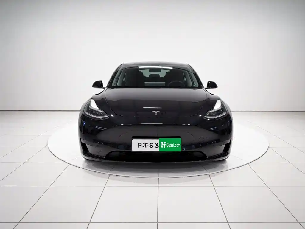 Tesla Model Y — миниатюра 2