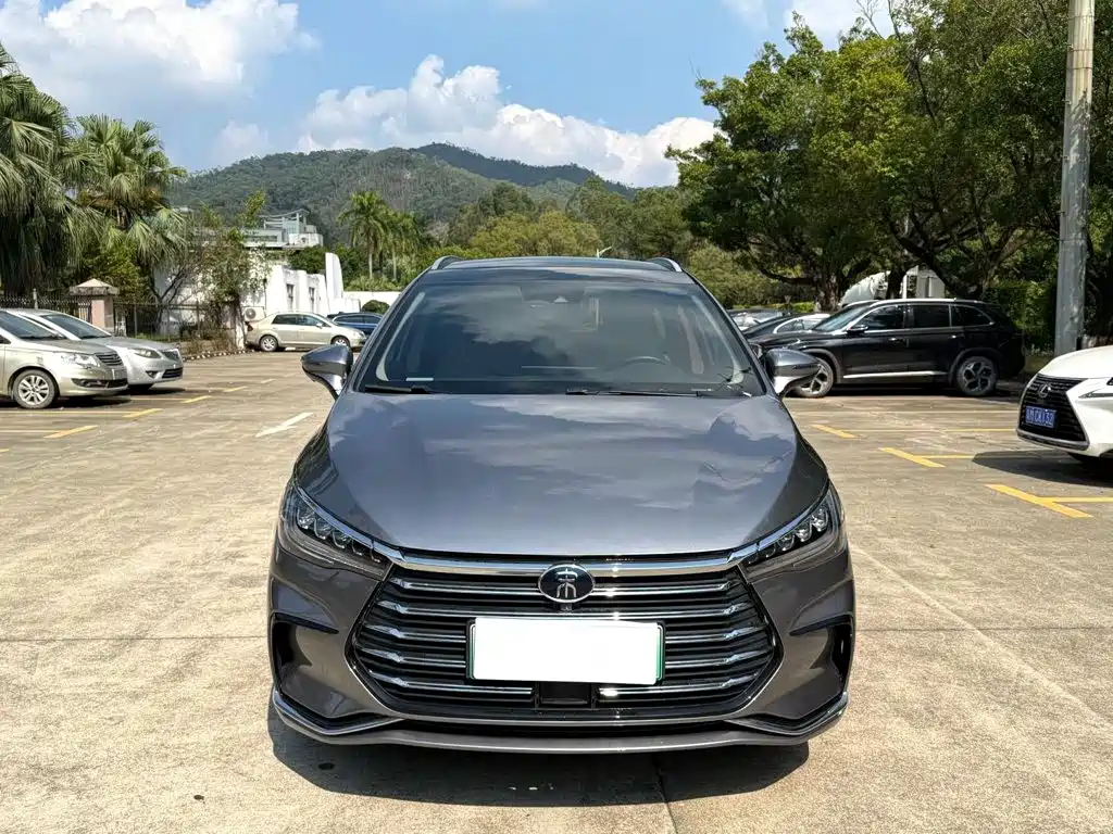 BYD MAX New Energy — миниатюра 2