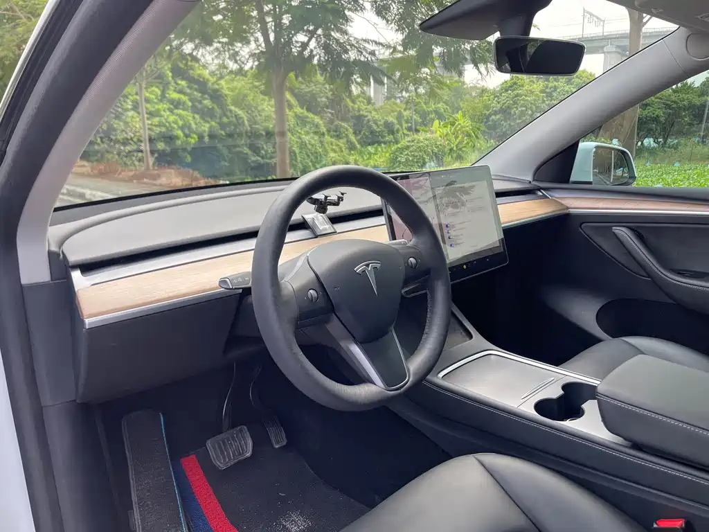 Tesla Model Y — миниатюра 19