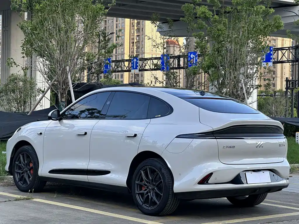 IM IM LS6 — миниатюра 16