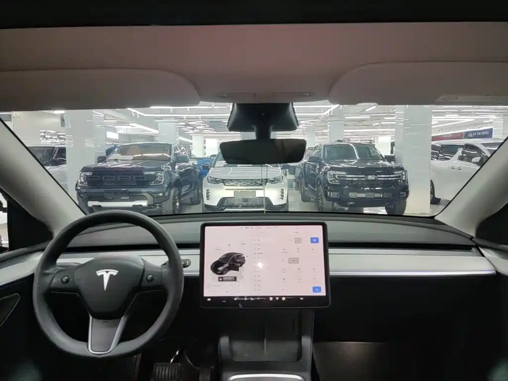 Tesla Model Y — миниатюра 18