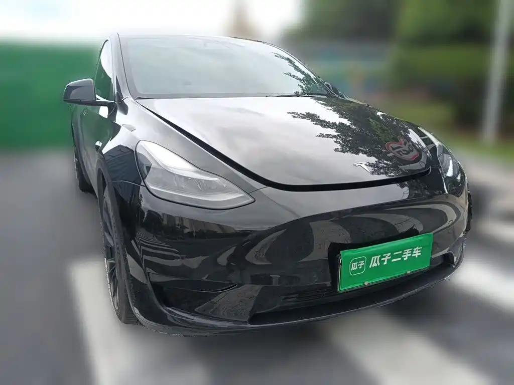Tesla Model Y — миниатюра 3
