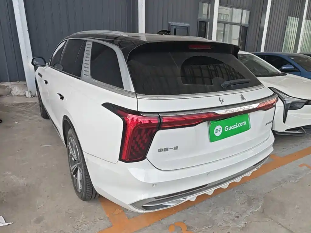 Hongqi Hongqi E-HS9 — миниатюра 5