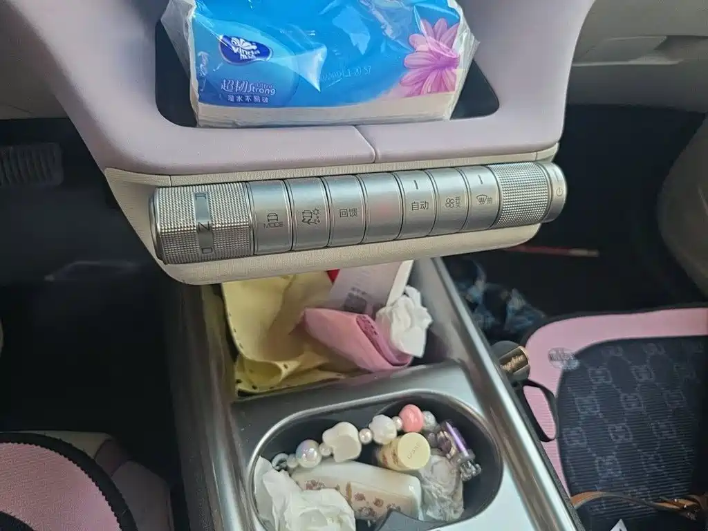 BYD Dolphin 2021 405km Fashion