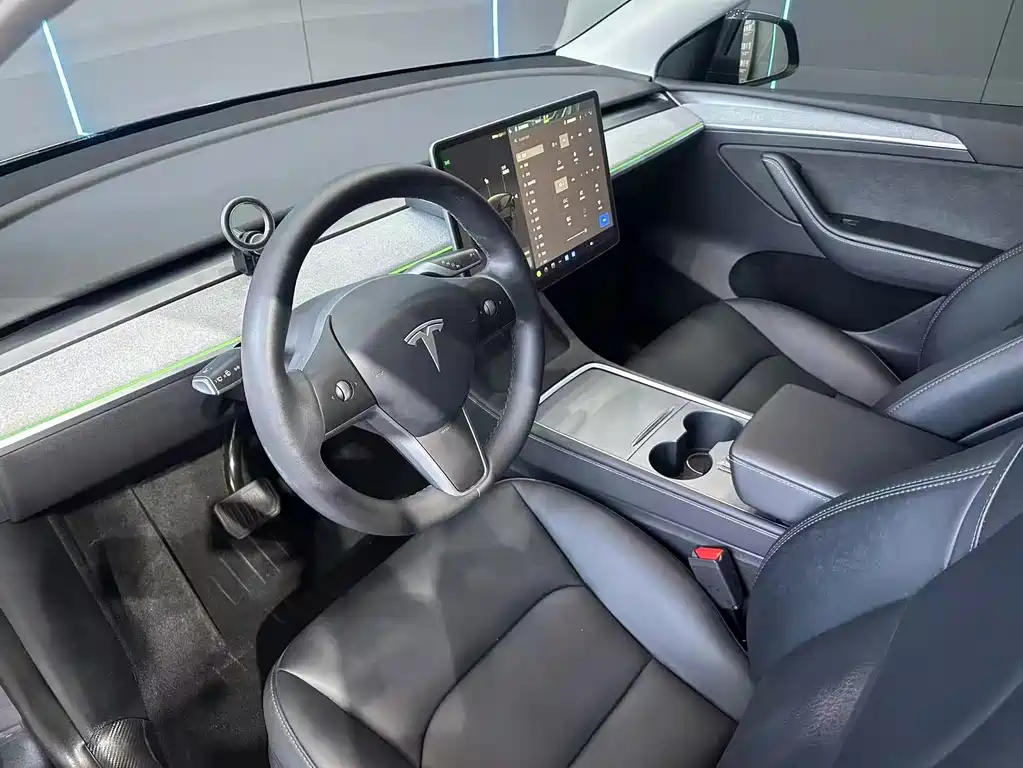 Tesla Model Y — миниатюра 11