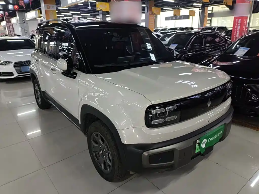 Baojun YepPlus Plus 2026 301km Flagship